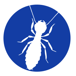 brunswick pest control provides termite control services to wilmington nc and surrounding areas