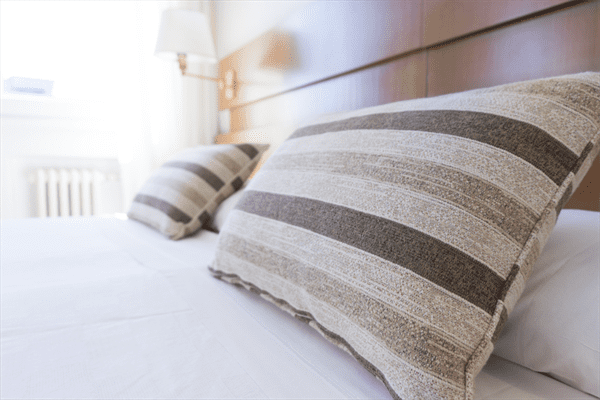 all you need to know about bedbugs by brunswick pest control